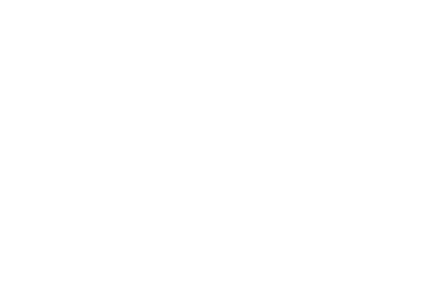 嘉龙